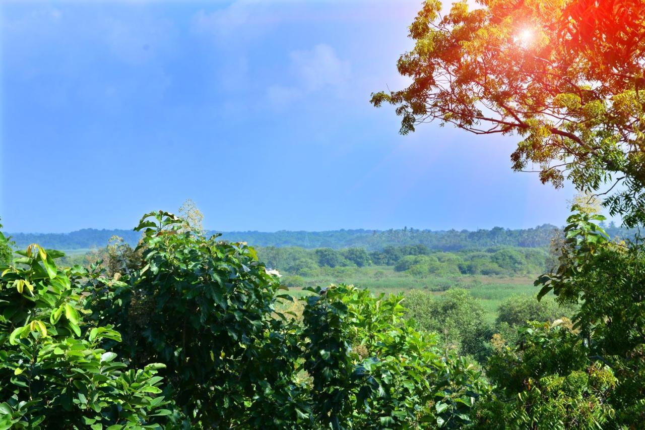 Randu Homestay And Restaurant Tangalle Exterior photo