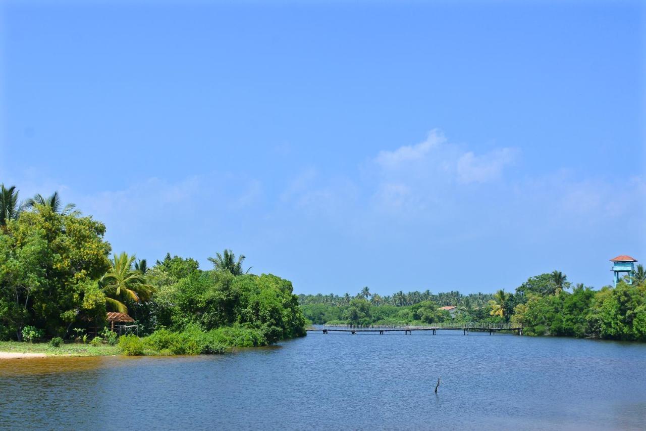 Randu Homestay And Restaurant Tangalle Exterior photo